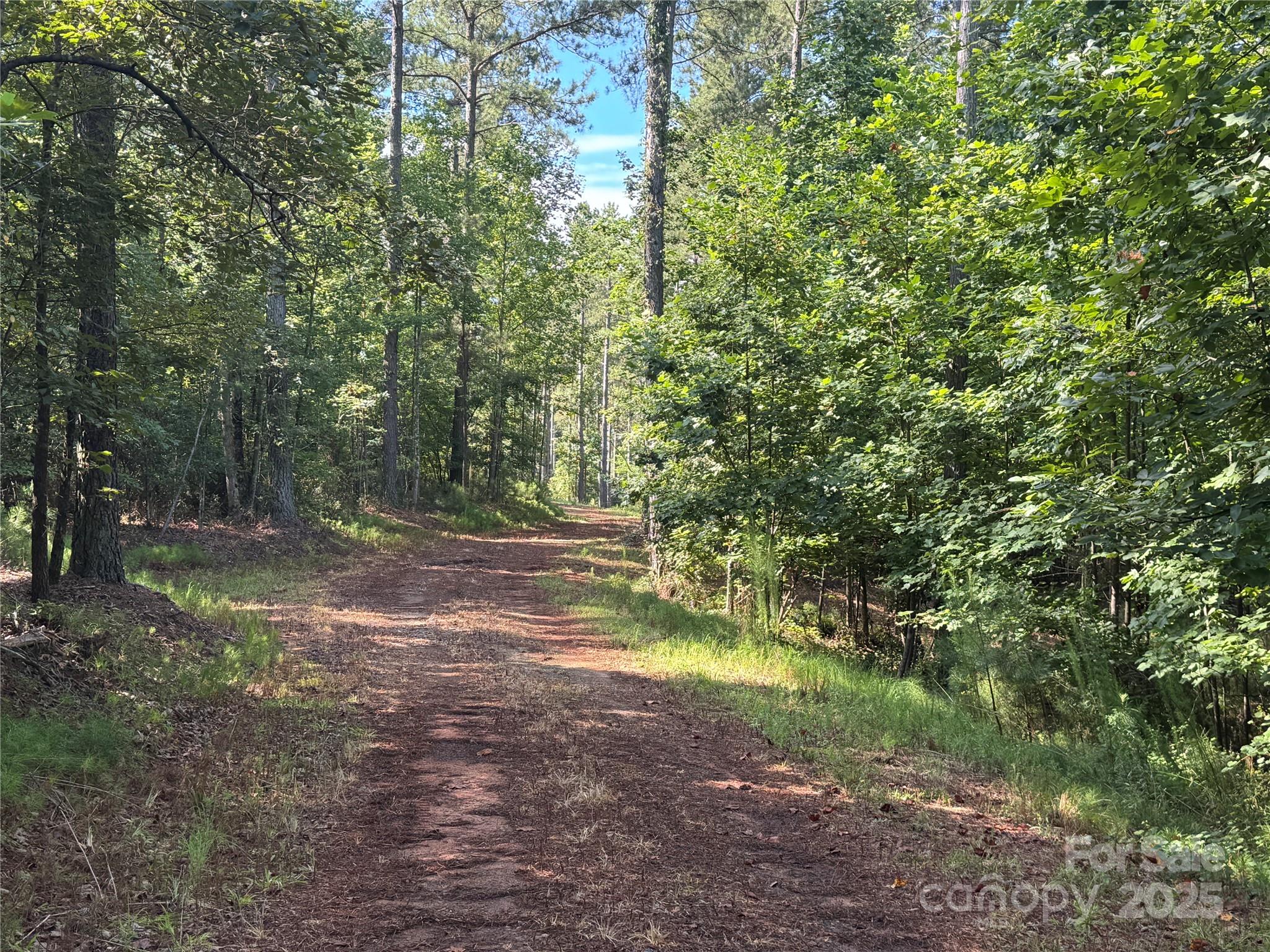 0 Hayes Mill Road, Unit TRACT A2 Granite Falls, NC 28630 - Photo 16 of 18