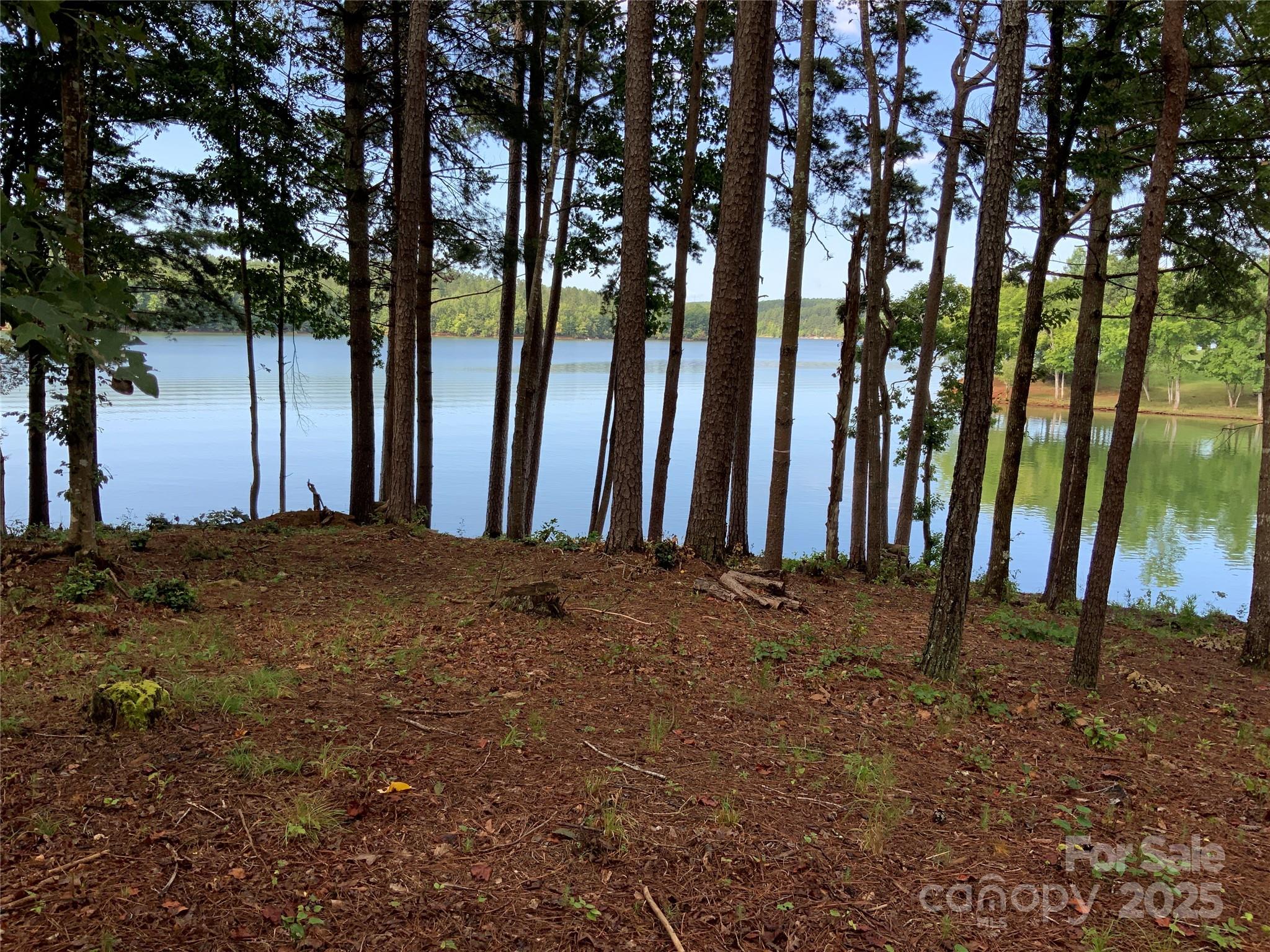 0 Hayes Mill Road, Unit TRACT A2 Granite Falls, NC 28630 - Photo 3 of 18