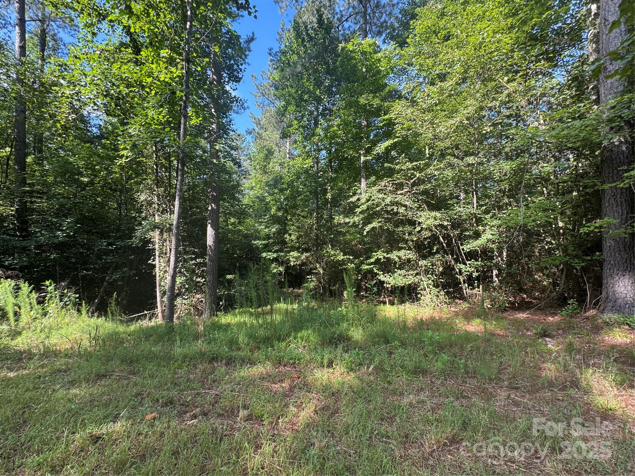 0 Hayes Mill Road, Unit TRACT A2 Granite Falls, NC 28630 - Photo 9 of 18