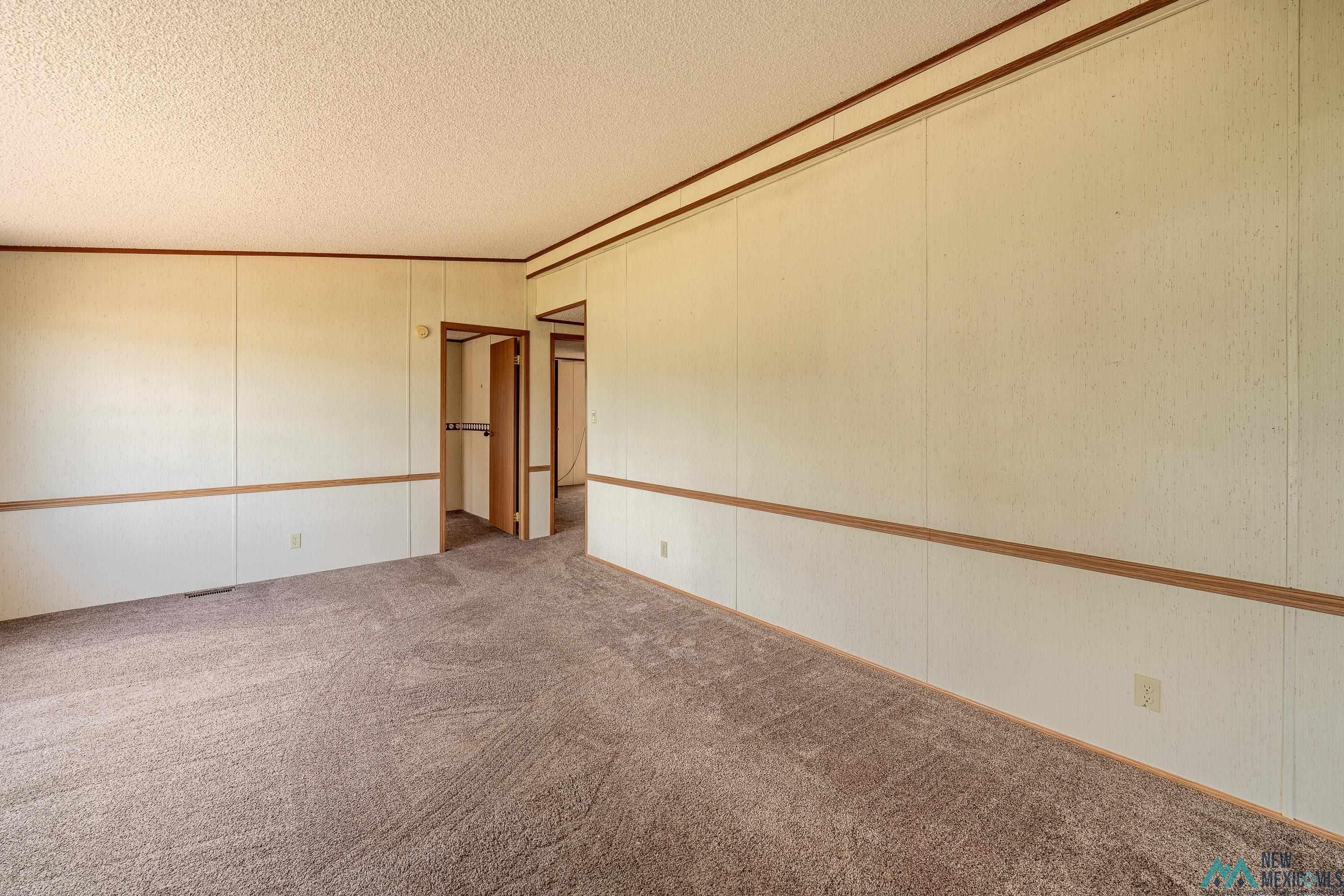 35234 Highway 87 Raton, NM 87740 - Photo 37 of 90 Spare room with carpet flooring, a textured ceiling, a decorative wall, and ornamental molding
