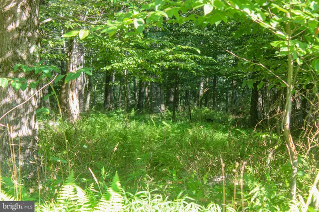 $125,000 | Lot 33 Winding Estates Drive, Oakland, MD 21550