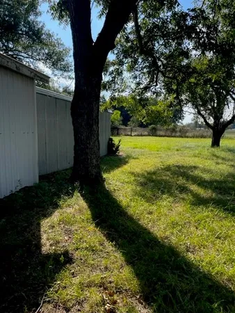 a view of a garden with large trees