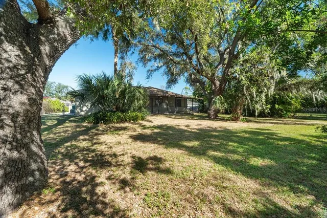 a view of outdoor space with trees all around