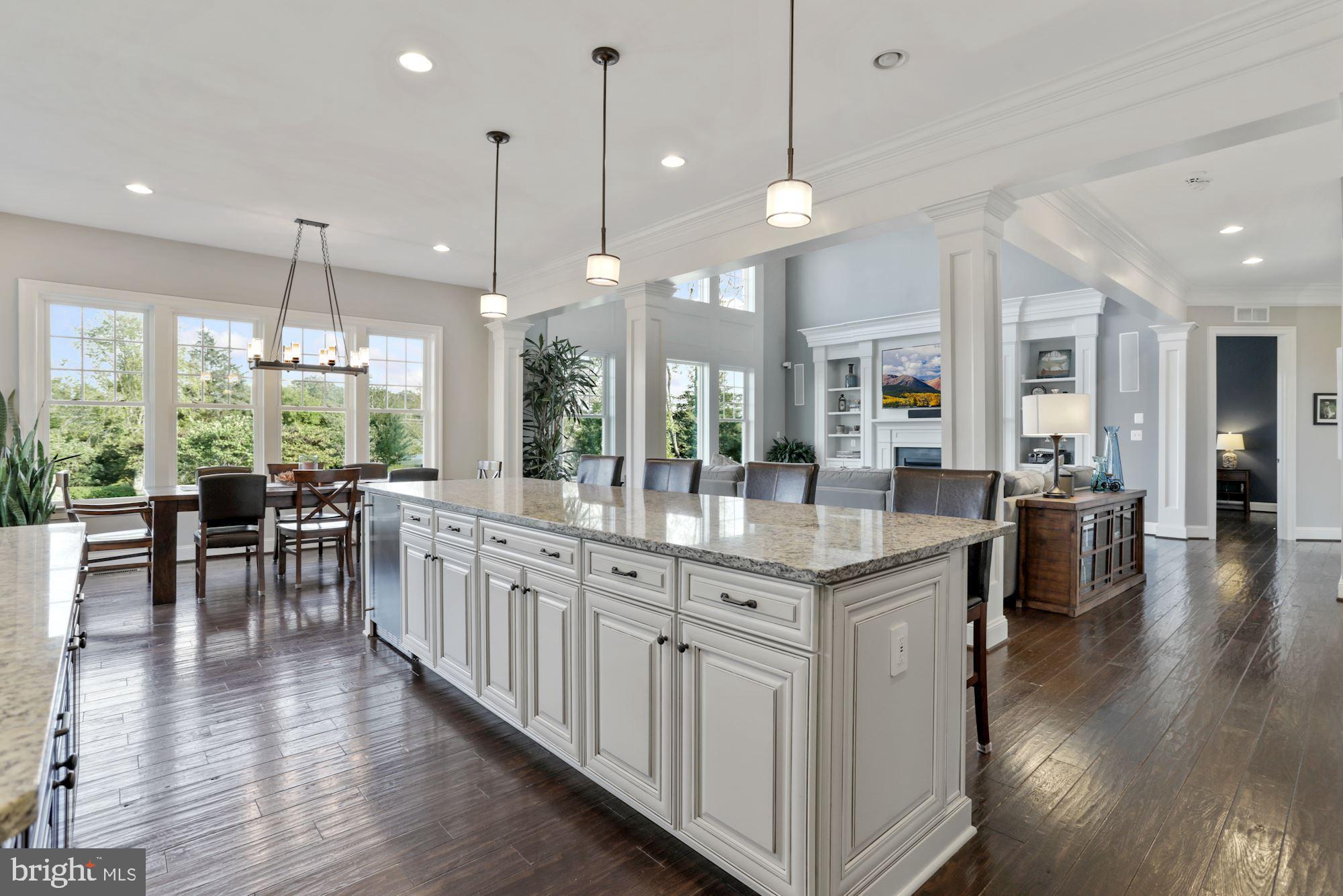 41655 Revival Drive Ashburn, VA 20148 - Photo 13 of 87