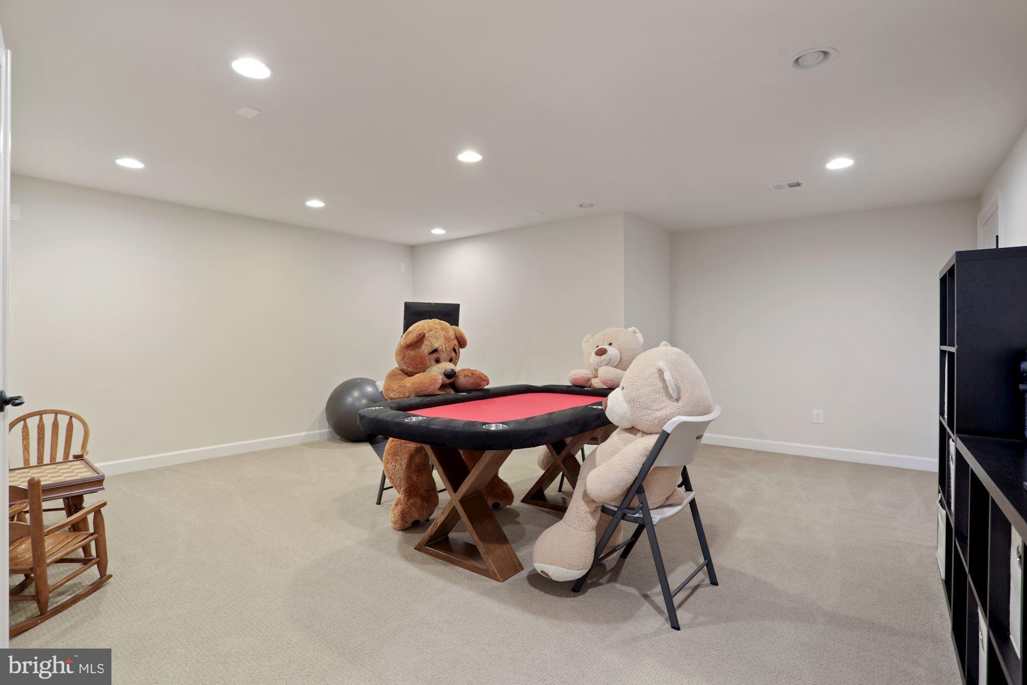 41655 Revival Drive Ashburn, VA 20148 - Photo 53 of 87 Basement media room