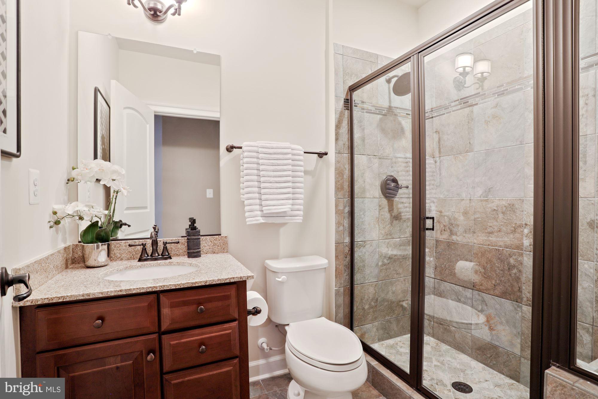 41655 Revival Drive Ashburn, VA 20148 - Photo 55 of 87 Basement full bath