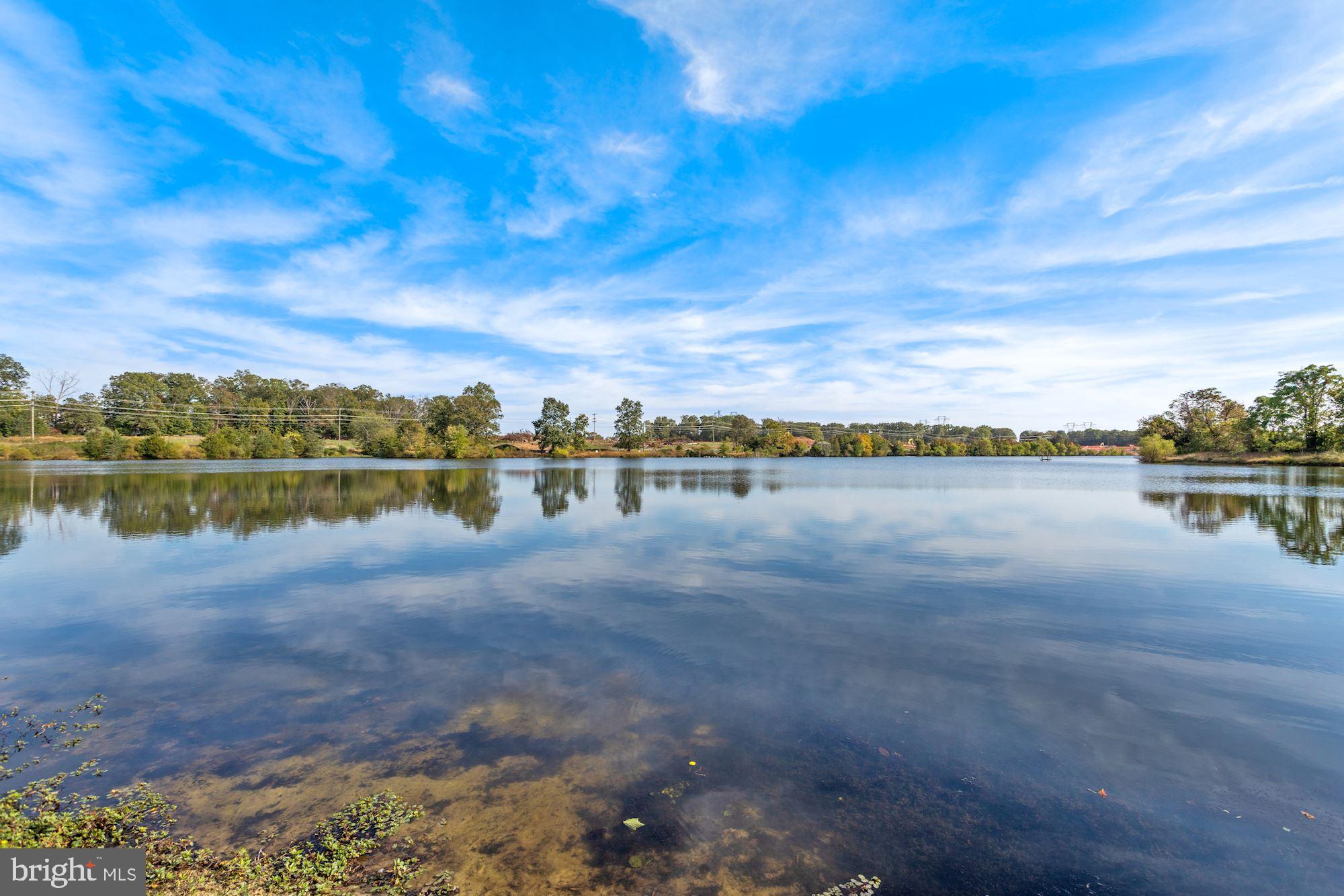 41655 Revival Drive Ashburn, VA 20148 - Photo 77 of 87 Community lake