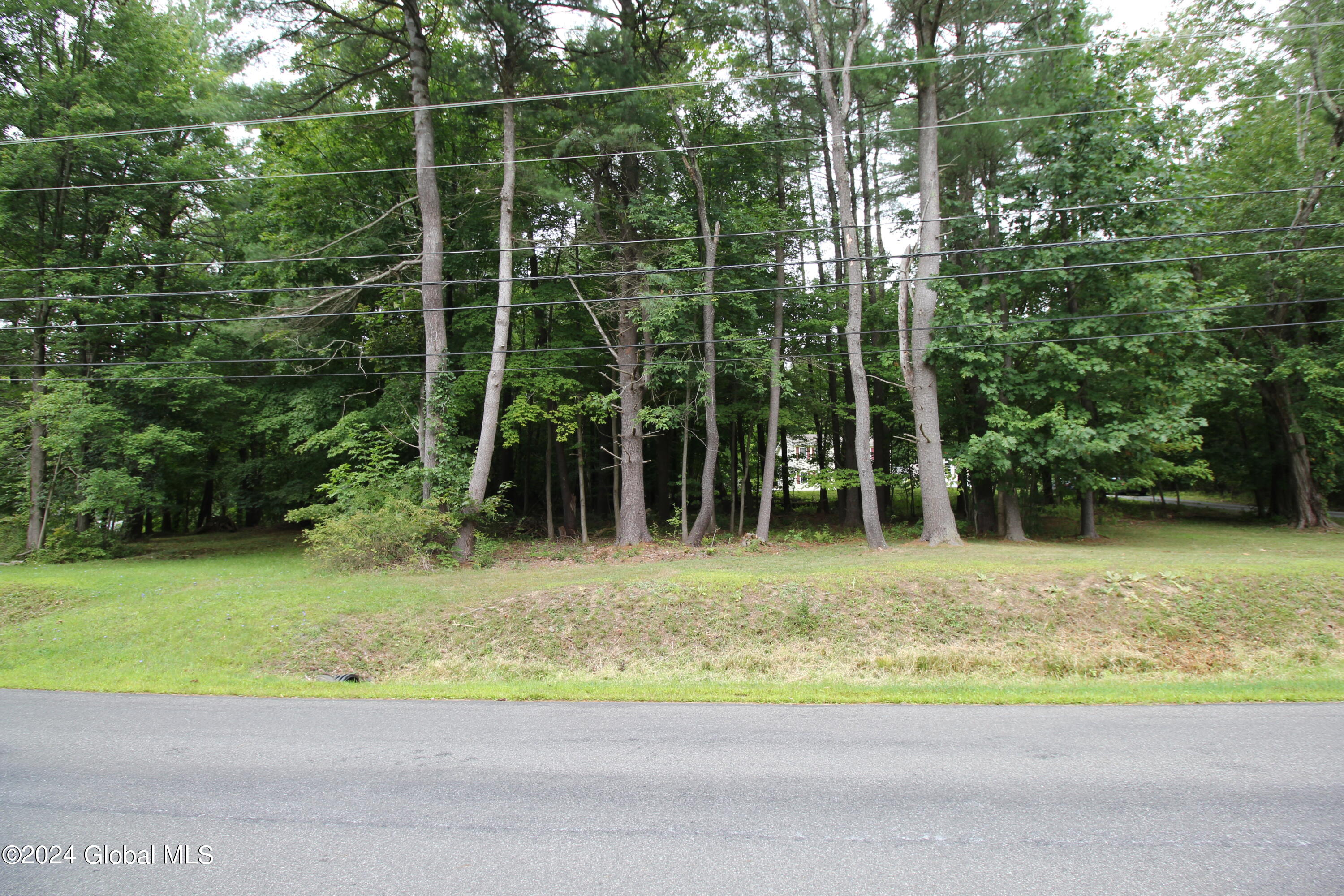 2 Boyce Road Schodack, NY 12123 - Photo 3 of 4 IMG_1631