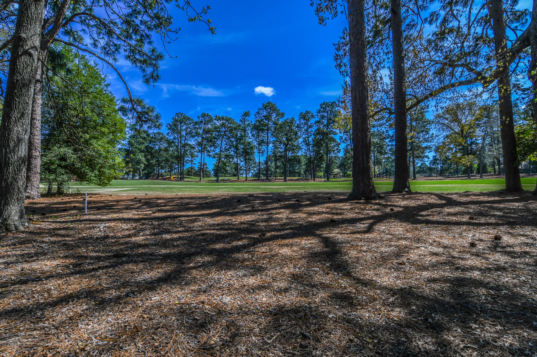 55 Turtle Point Road Pinehurst, NC 28374 - Photo 4 of 39 DSC_4881