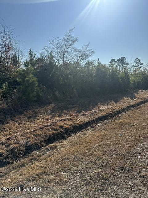 2645 Braswell Road Chadbourn, NC 28431 - Photo 2 of 6 Gallery Image 2