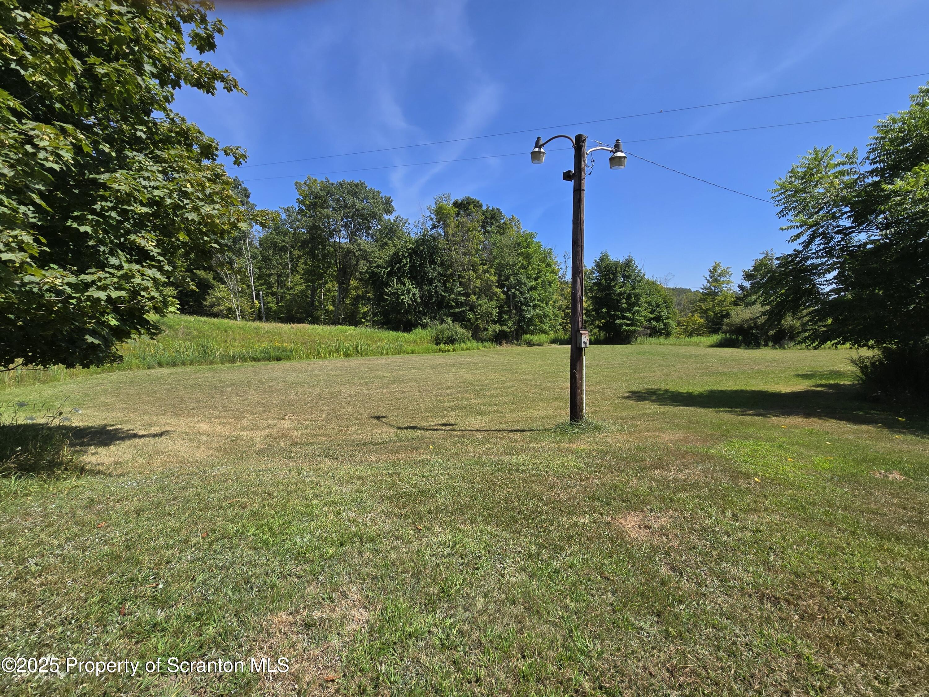 306 State Rte 1008 Factoryville, PA 18419 - Photo 13 of 33 a view of a green field with a tree