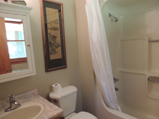 301 Arledge Road Landrum, SC 29356 - Photo 14 of 18