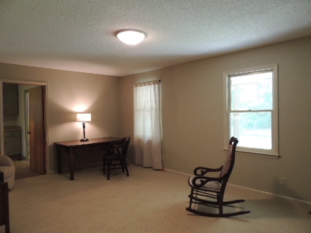 301 Arledge Road Landrum, SC 29356 - Photo 17 of 18