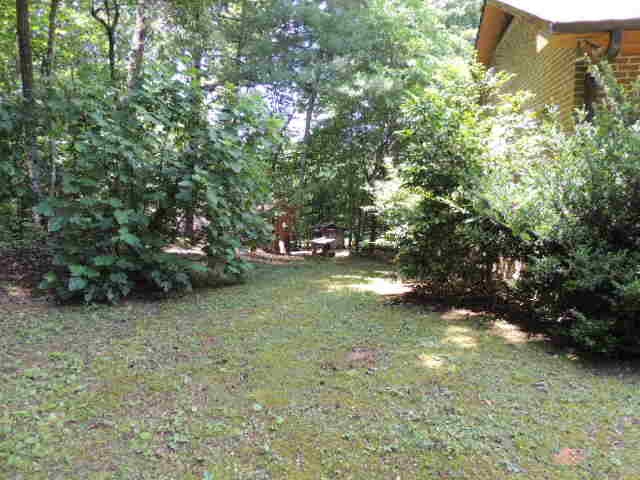 301 Arledge Road Landrum, SC 29356 - Photo 3 of 18