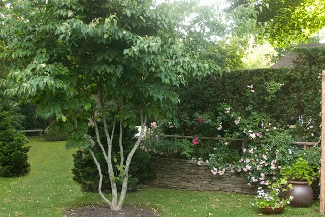 $30,000 | 60 Lumber Lane, Bridgehampton, NY 11932