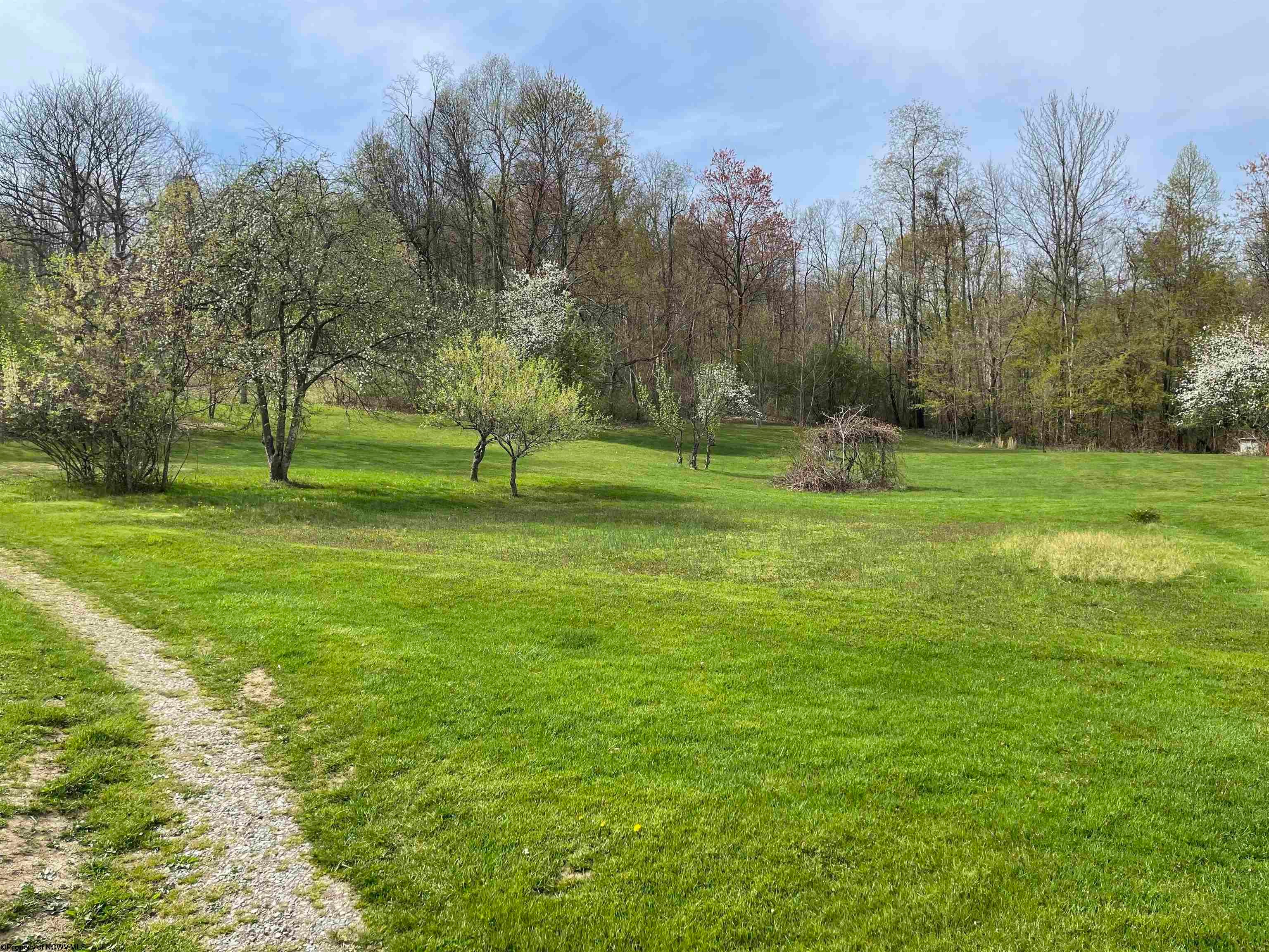 2175 Pell Road Kingwood, WV 26537 - Photo 6 of 28 Gallery Image 6