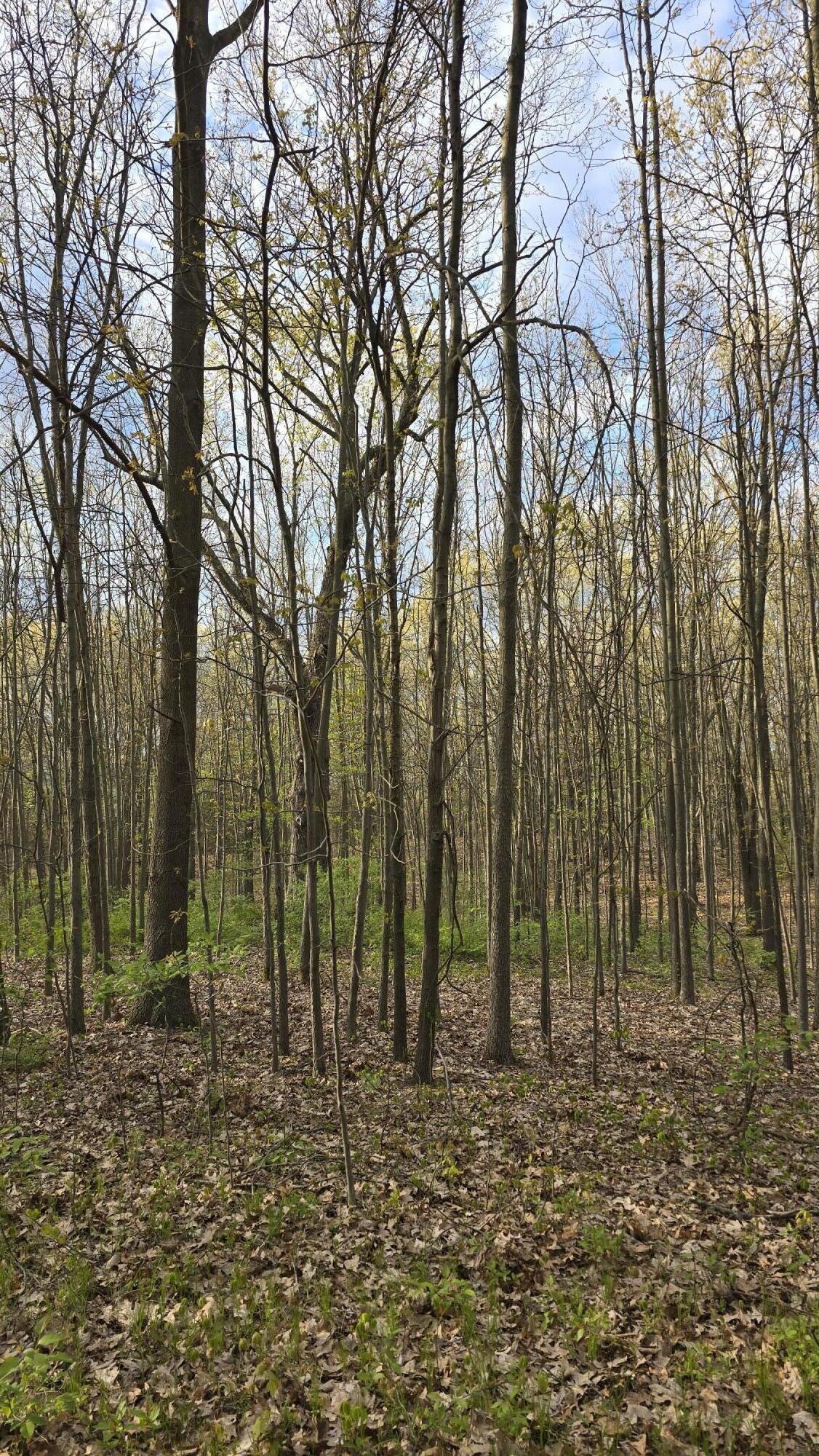 675 Marsh Road Plainwell, MI 49080 - Photo 23 of 72 20260506_191253