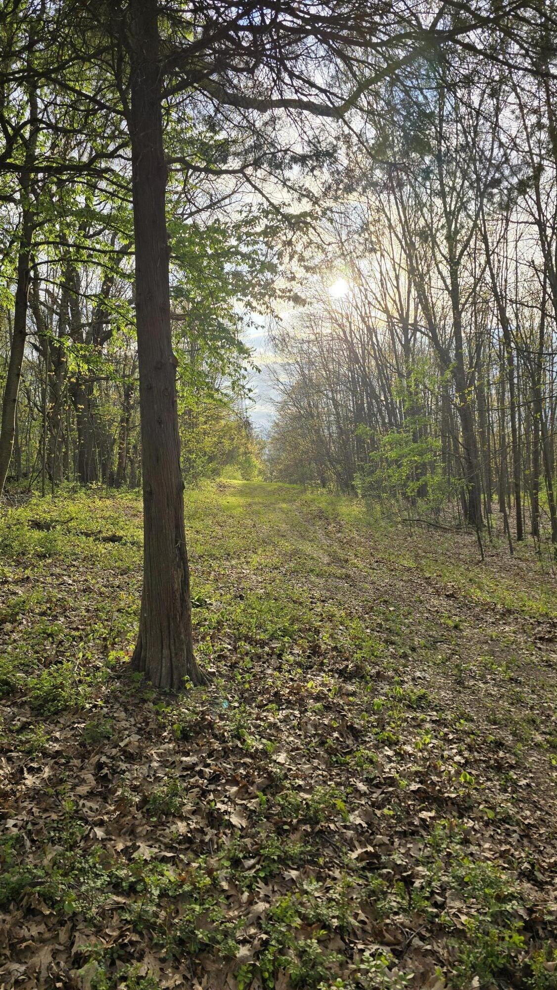 675 Marsh Road Plainwell, MI 49080 - Photo 24 of 72 20260506_191327