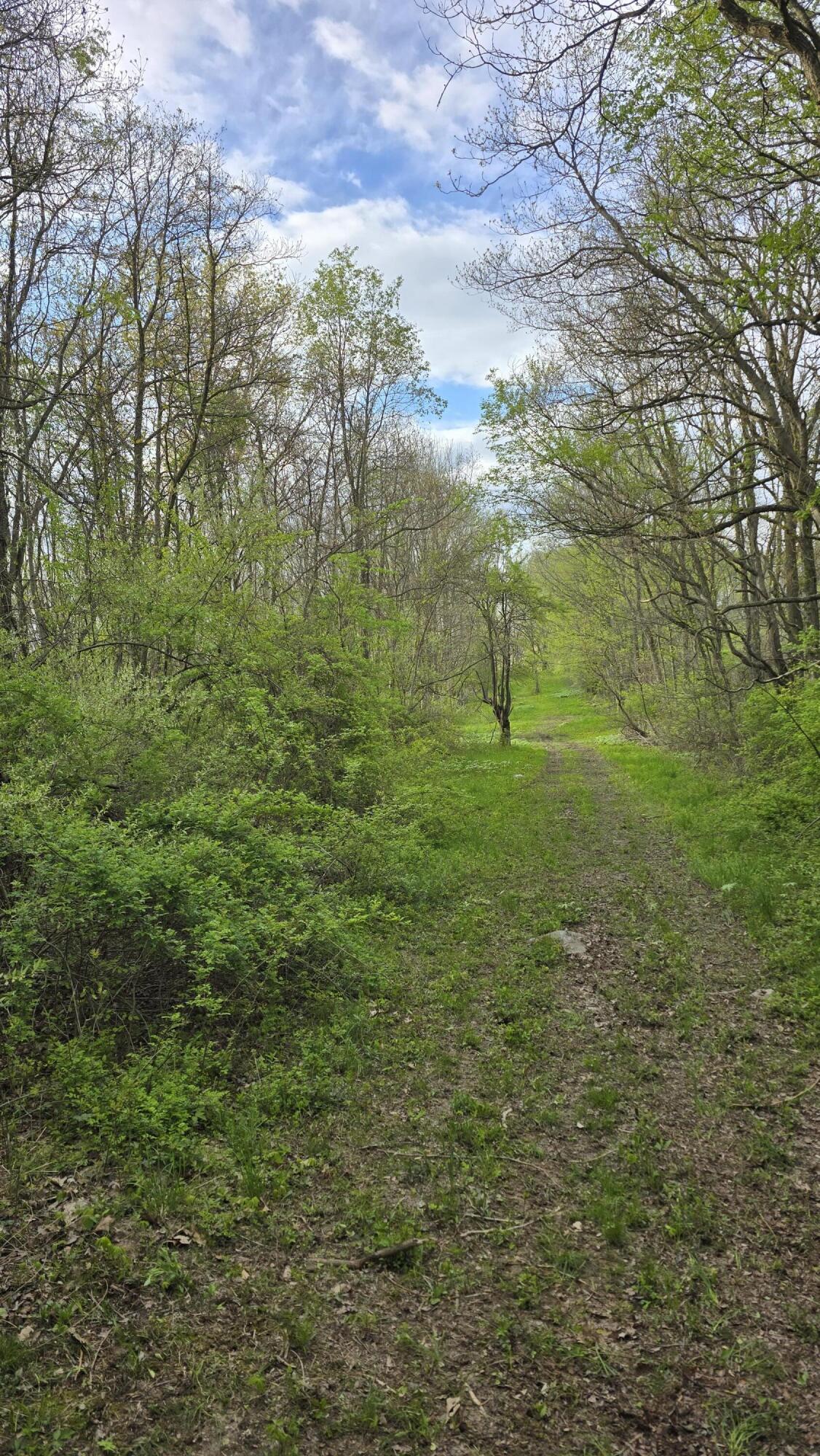 675 Marsh Road Plainwell, MI 49080 - Photo 39 of 72 20260506_185627