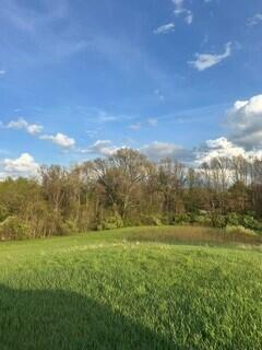 675 Marsh Road Plainwell, MI 49080 - Photo 55 of 72 Marsh & Pierce 29
