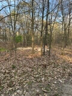 675 Marsh Road Plainwell, MI 49080 - Photo 71 of 72 Marsh & Pierce 11