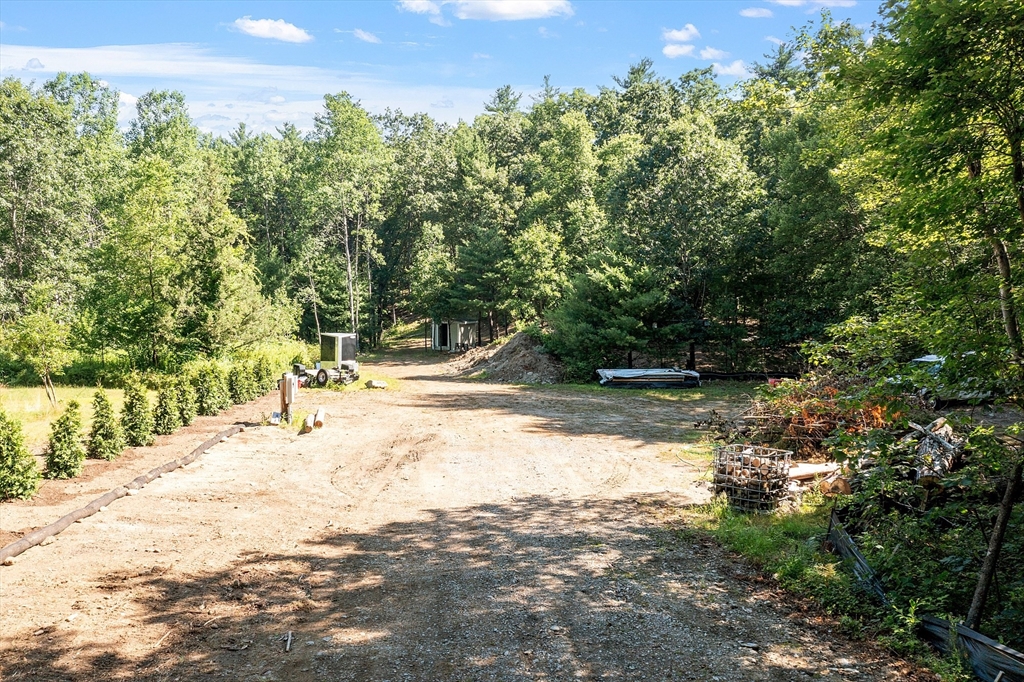 111 Squannacook Road Shirley, MA 01464 - Photo 2 of 9 a view of a yard with plants and trees