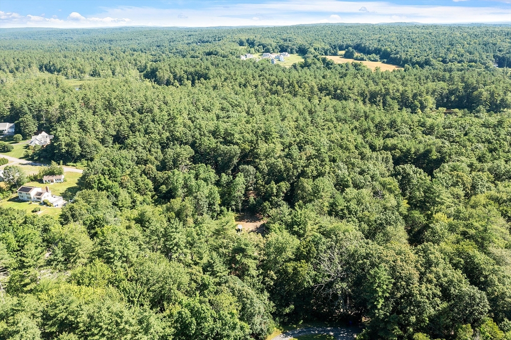 111 Squannacook Road Shirley, MA 01464 - Photo 4 of 9 a view of a lush green forest with and trees