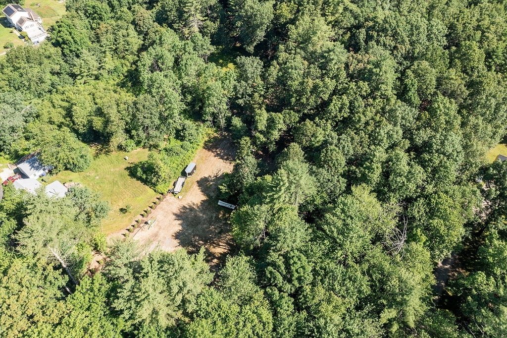 111 Squannacook Road Shirley, MA 01464 - Photo 5 of 9 a view of a forest with a tree