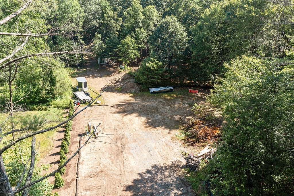 111 Squannacook Road Shirley, MA 01464 - Photo 8 of 9 a view of a yard with plants and large trees