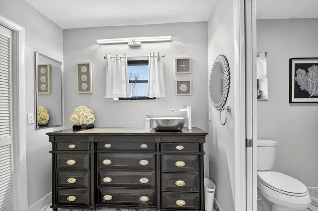 a view of a backyard with potted plants and a large tree