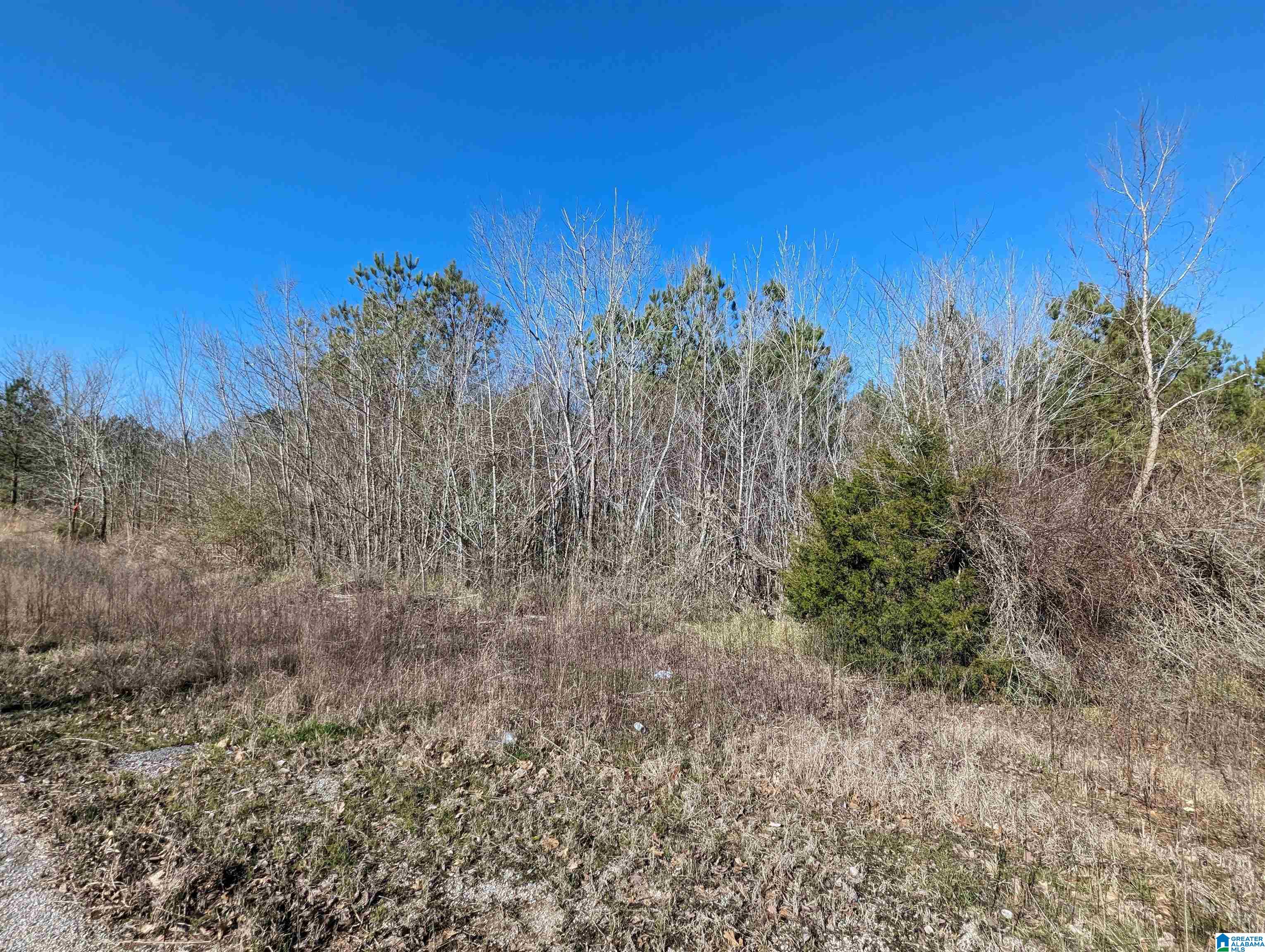 0 Chandler Springs Road Talladega, AL 35160 - Photo 31 of 35
