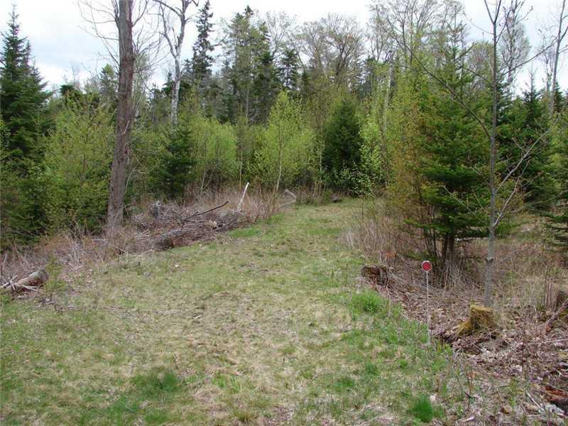 Lot 10 Kingsley Farm Road Gouldsboro, ME 04607 - Photo 3 of 5 Land.