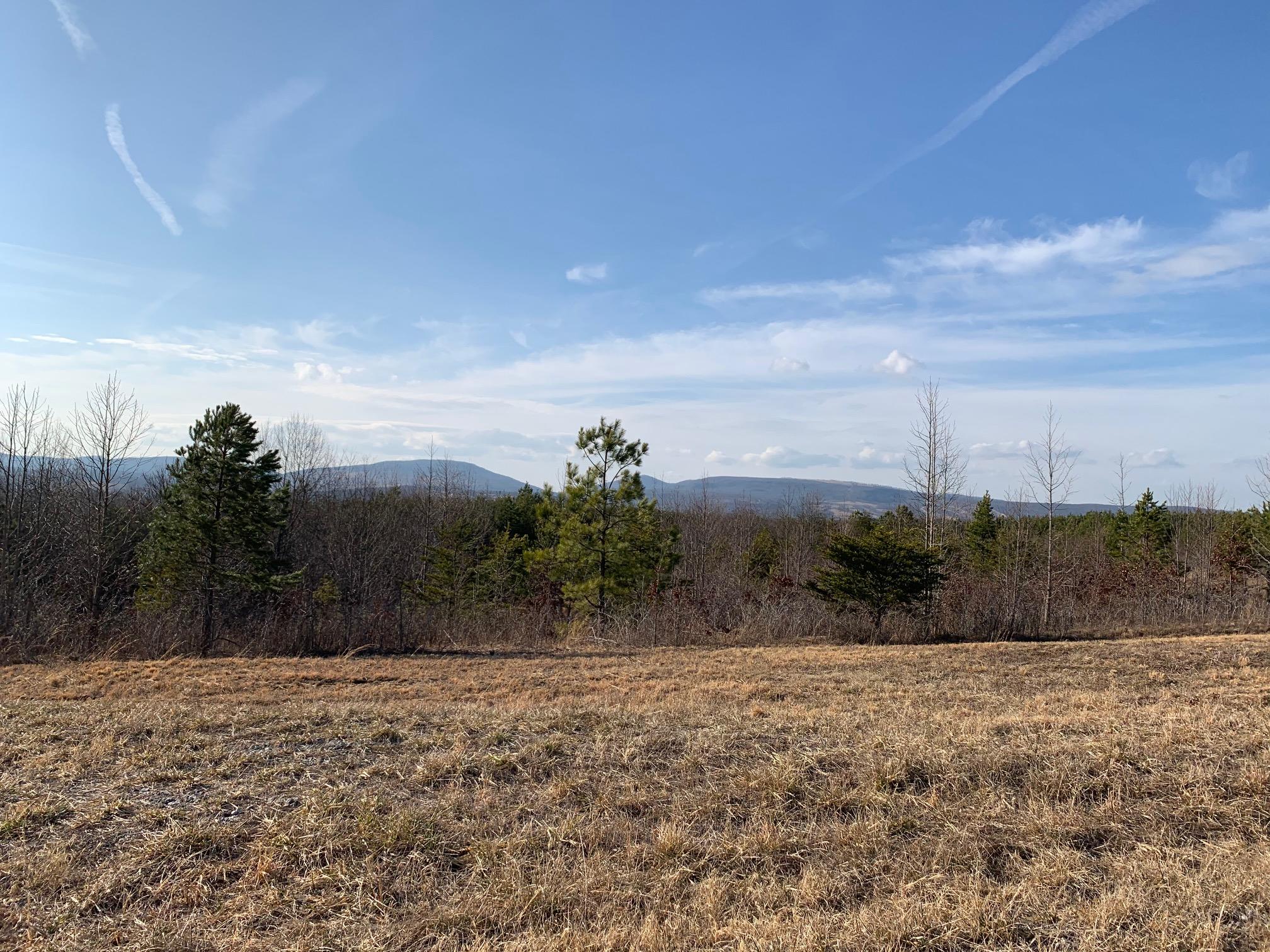 52.30 Tower Road Grandview, TN 37337 - Photo 11 of 16 IMG_1566