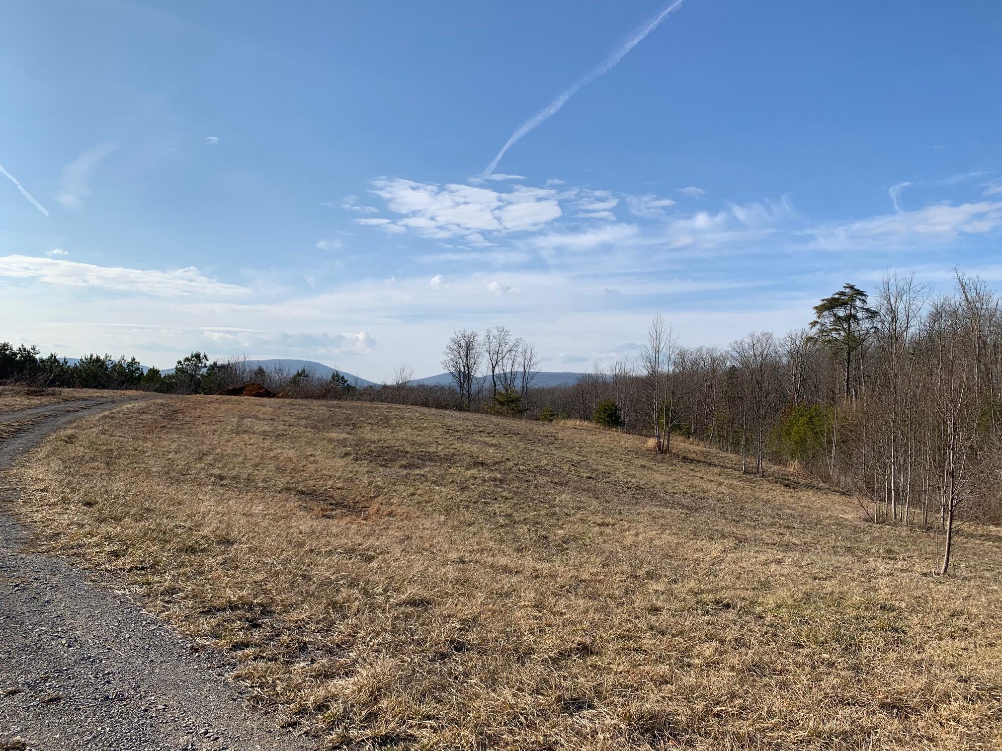52.30 Tower Road Grandview, TN 37337 - Photo 16 of 16 IMG_1558