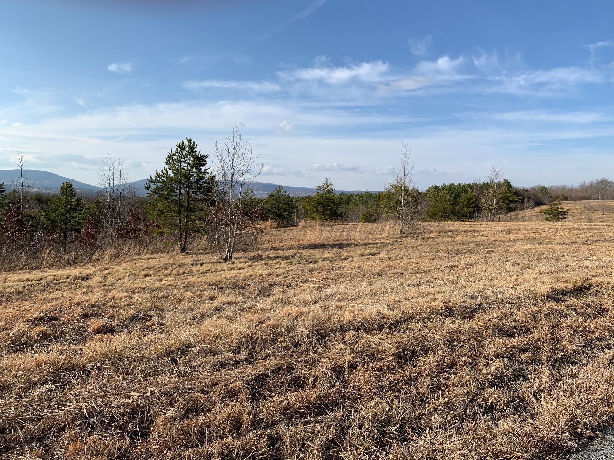 52.30 Tower Road Grandview, TN 37337 - Photo 5 of 16 IMG_1569