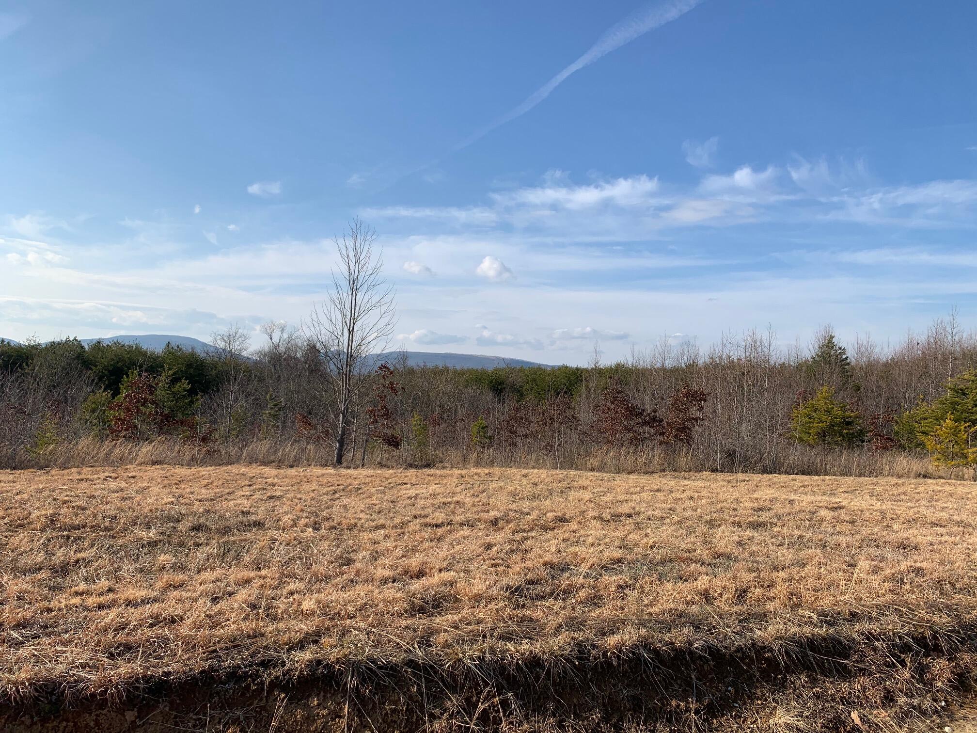 52.30 Tower Road Grandview, TN 37337 - Photo 6 of 16 IMG_1564