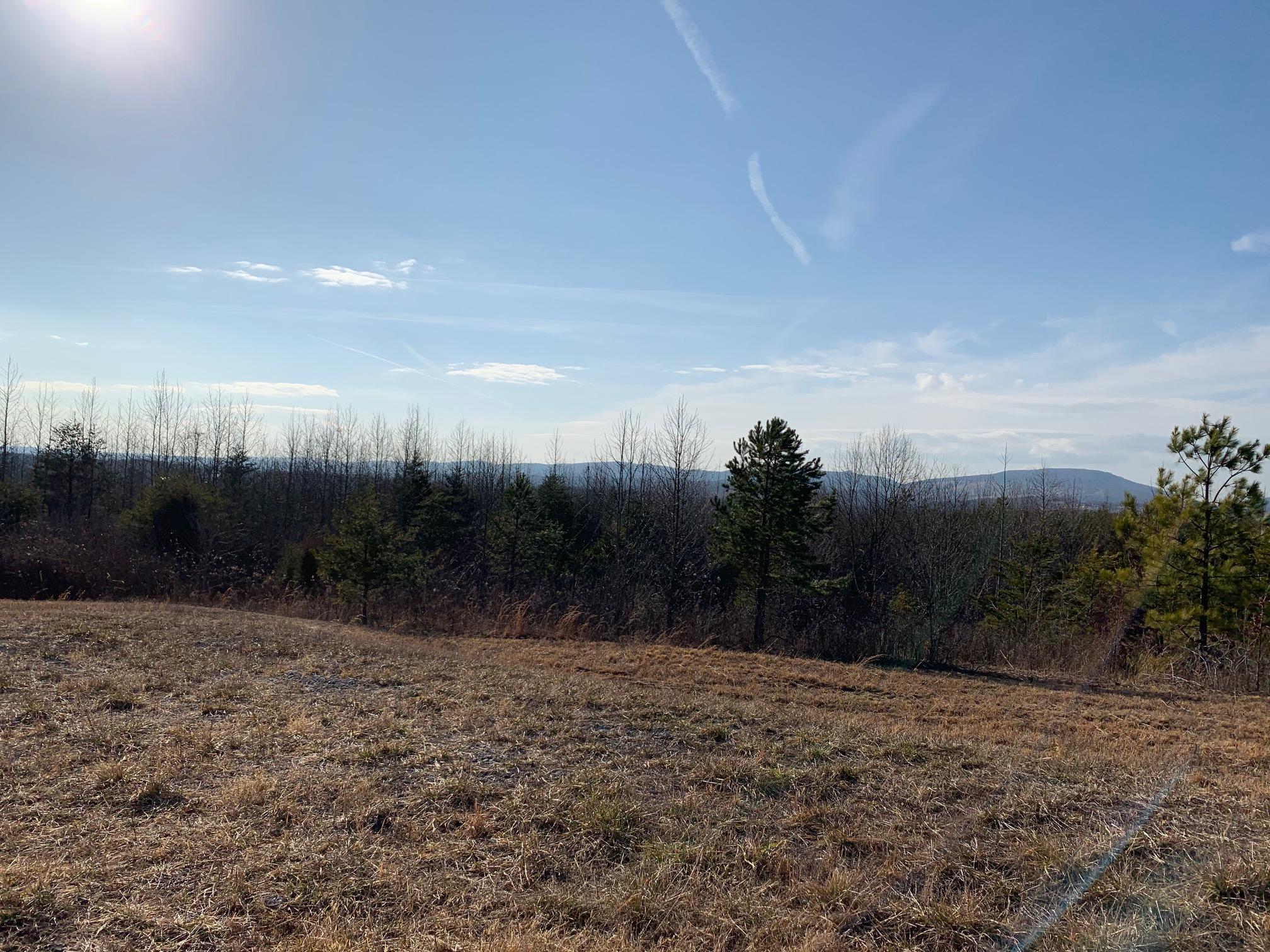 52.30 Tower Road Grandview, TN 37337 - Photo 10 of 16 IMG_1567