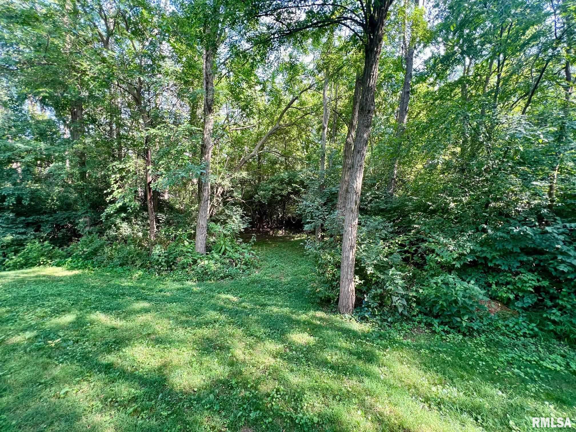 17531 Old Fairgrounds Road Petersburg, IL 62675 - Photo 49 of 68
