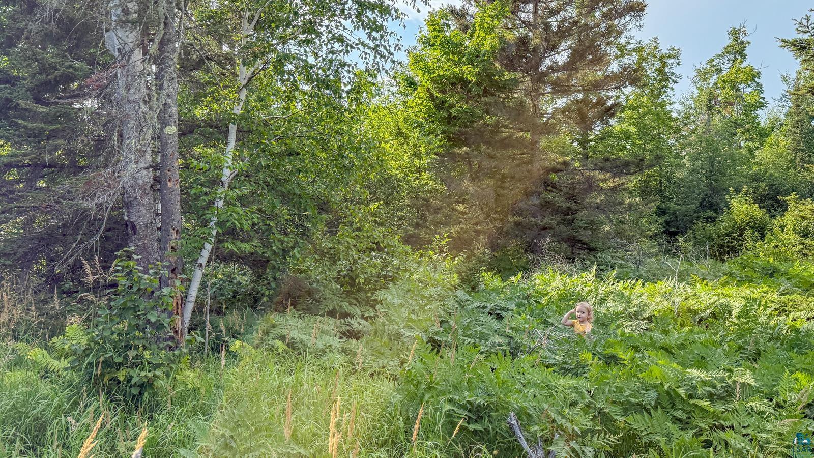Xxx1 Mink Ranch Road Lutsen, MN 55612 - Photo 10 of 19 Gallery Image 10