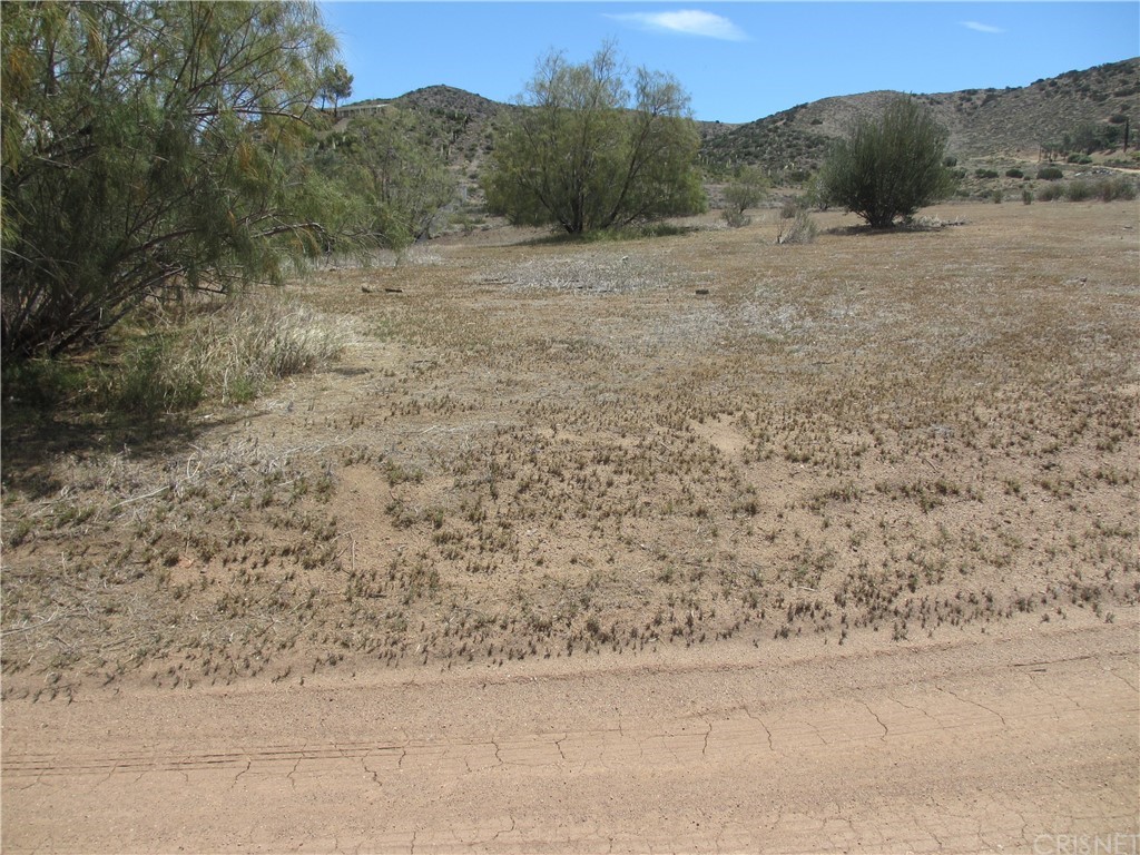 a view of a dry yard with mountain