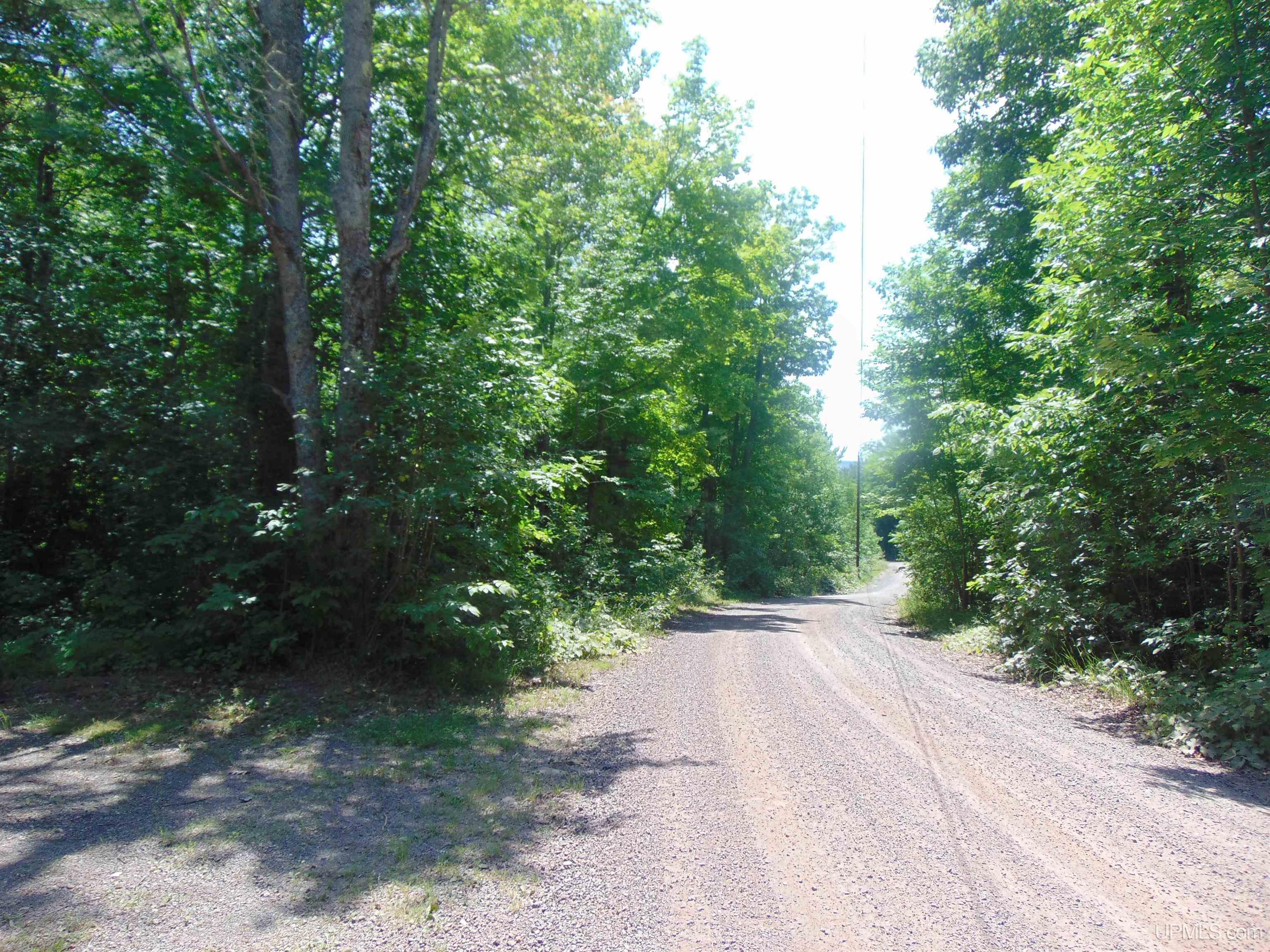 24954 Victoria Dam Road Rockland, MI 49960 - Photo 73 of 78