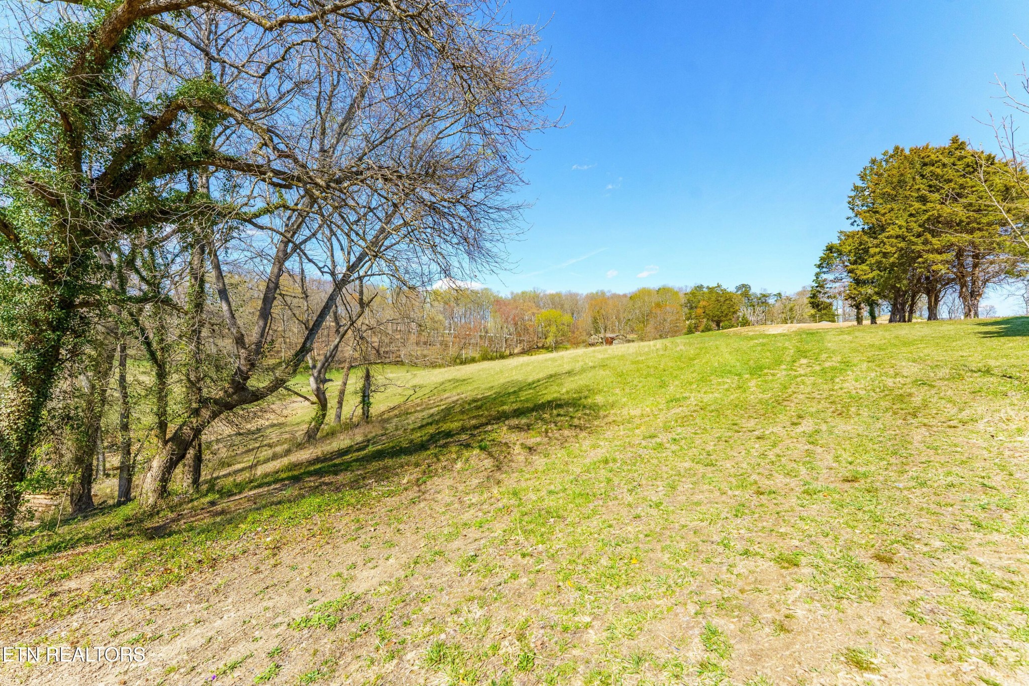 9233 West Emory Road Knoxville, TN 37931 - Photo 17 of 21 Gallery Image 17