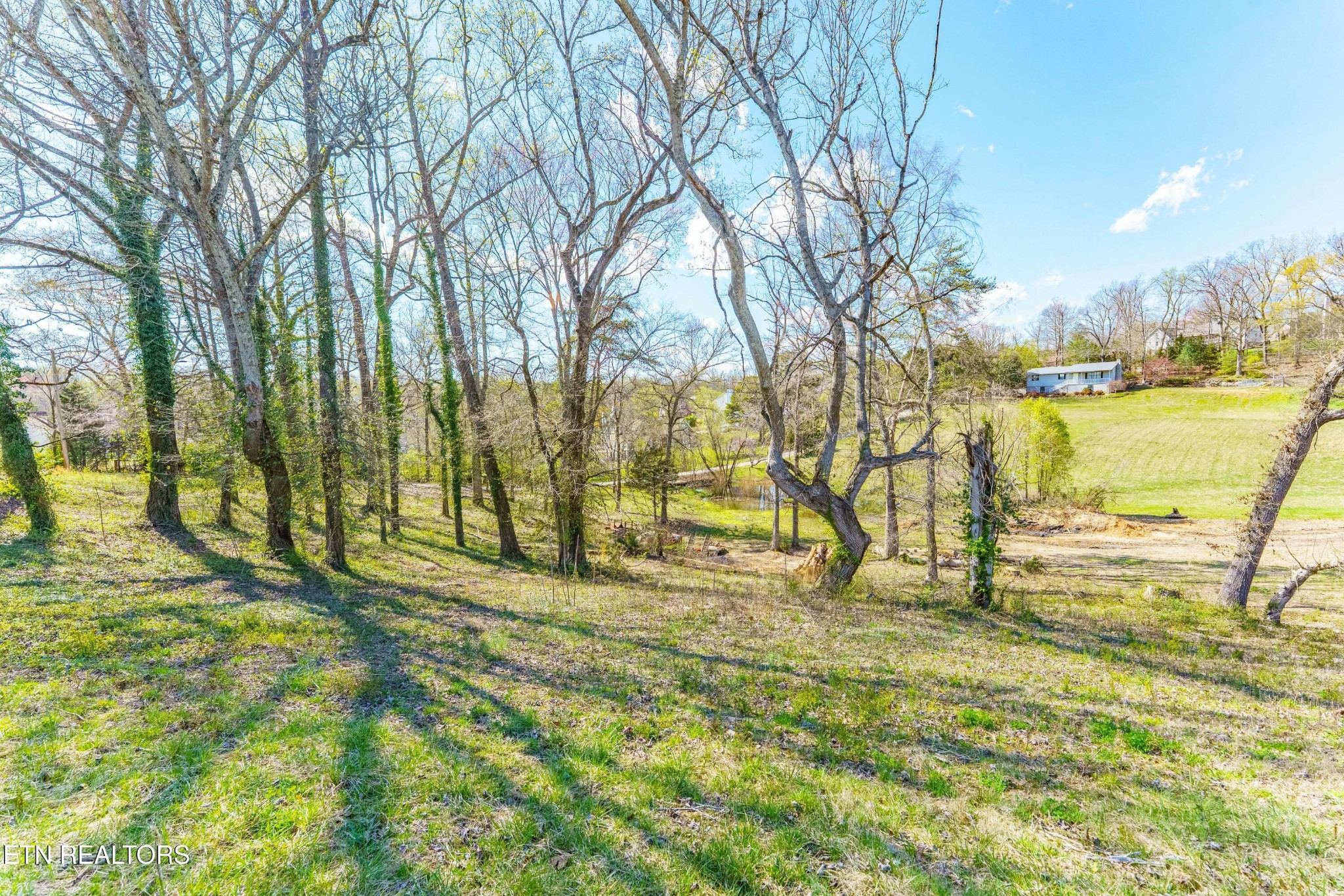 9233 West Emory Road Knoxville, TN 37931 - Photo 6 of 21 Gallery Image 6