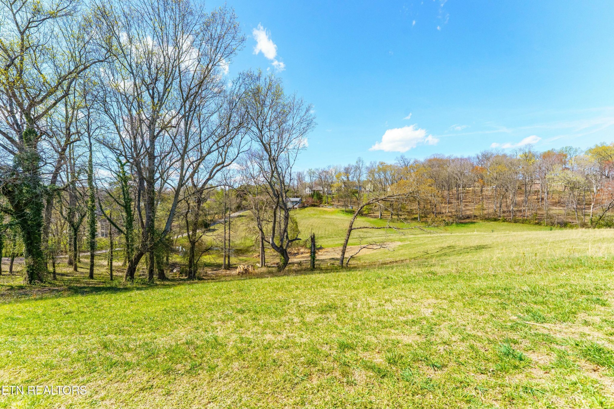 9233 West Emory Road Knoxville, TN 37931 - Photo 8 of 21 Gallery Image 8
