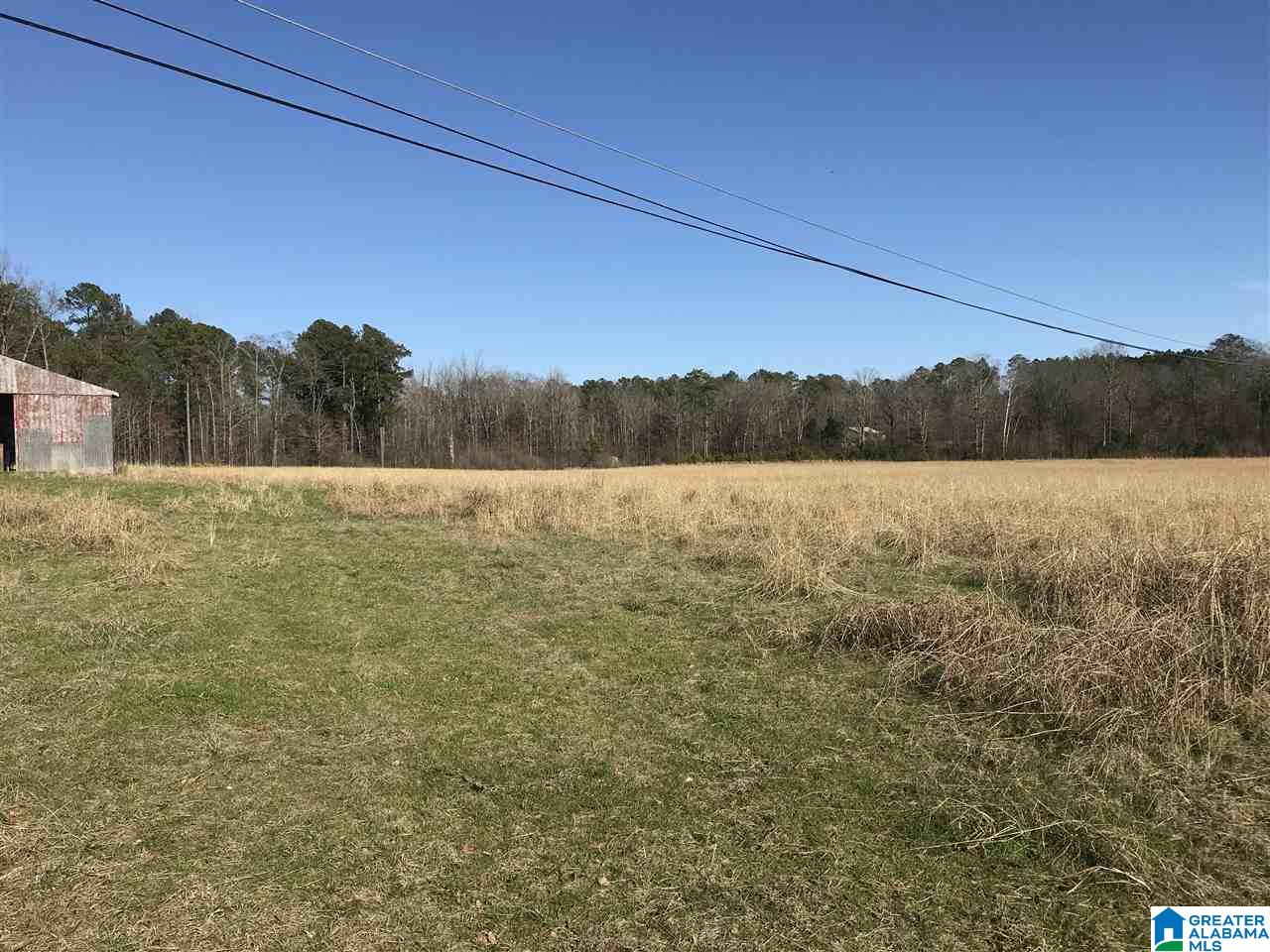 0 Fox Valley Farms Road, Unit 1 Alabaster, AL 35114 - Photo 3 of 8