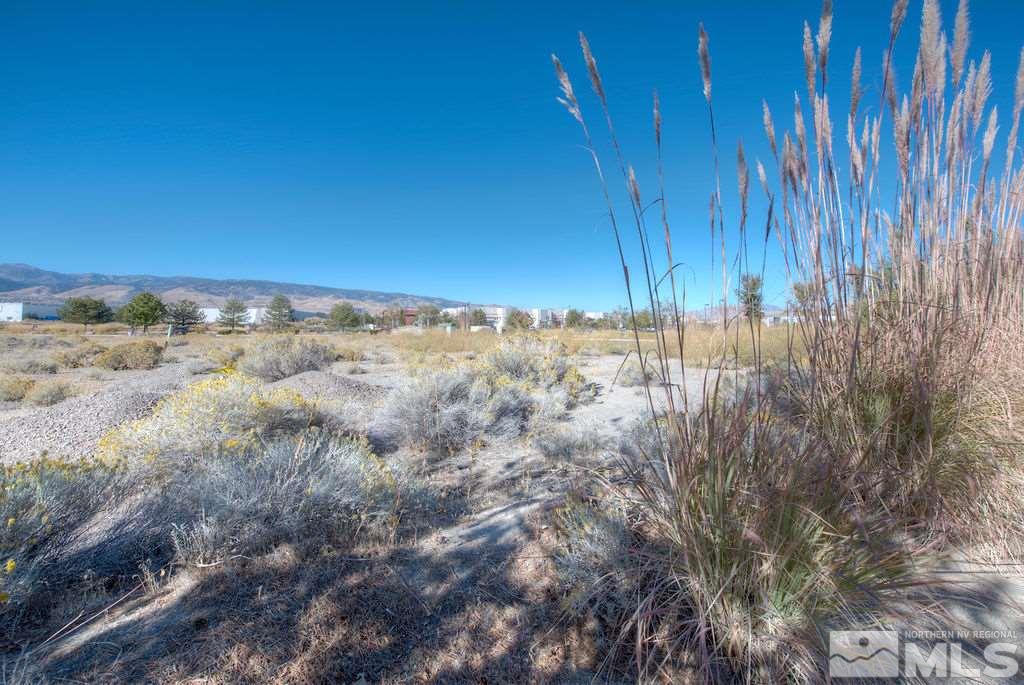 0 Double Diamond, Unit LOT 4 Reno, NV 89521 - Photo 13 of 18 a view of a yard