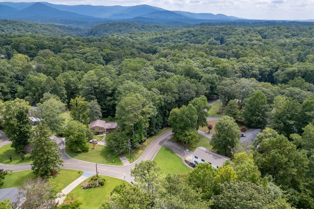 94 Brer Rabbit Trail Jasper, GA 30143 - Photo 36 of 37 an aerial view of a house with a garden