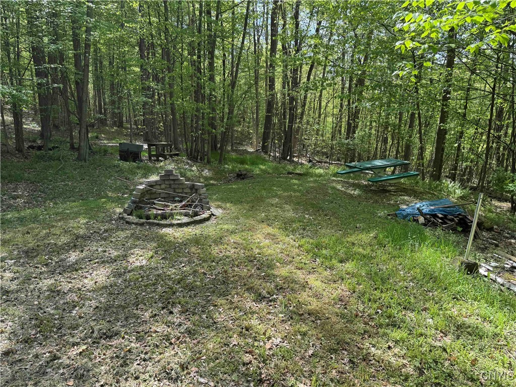 774 Bent Dipper Road Genesee, NY 14721 - Photo 25 of 46