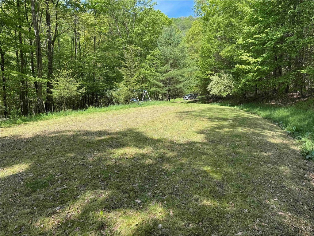 774 Bent Dipper Road Genesee, NY 14721 - Photo 28 of 46