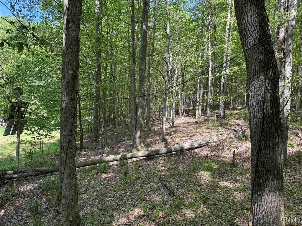 774 Bent Dipper Road Genesee, NY 14721 - Photo 31 of 46